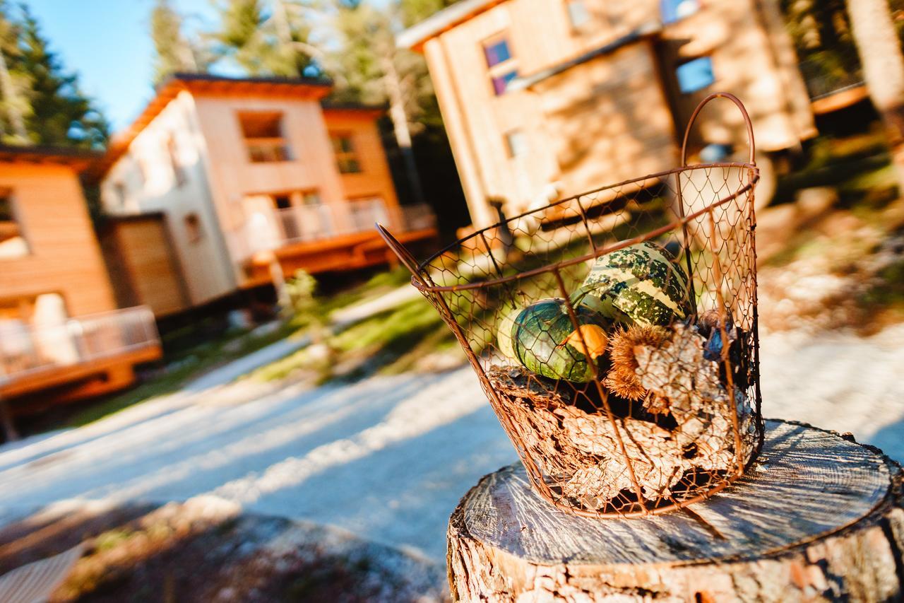 Forest Chalet Resort Felizitas San Felice  Exteriör bild